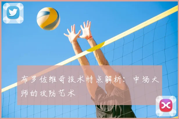 布罗佐维奇技术特点解析：中场大师的攻防艺术